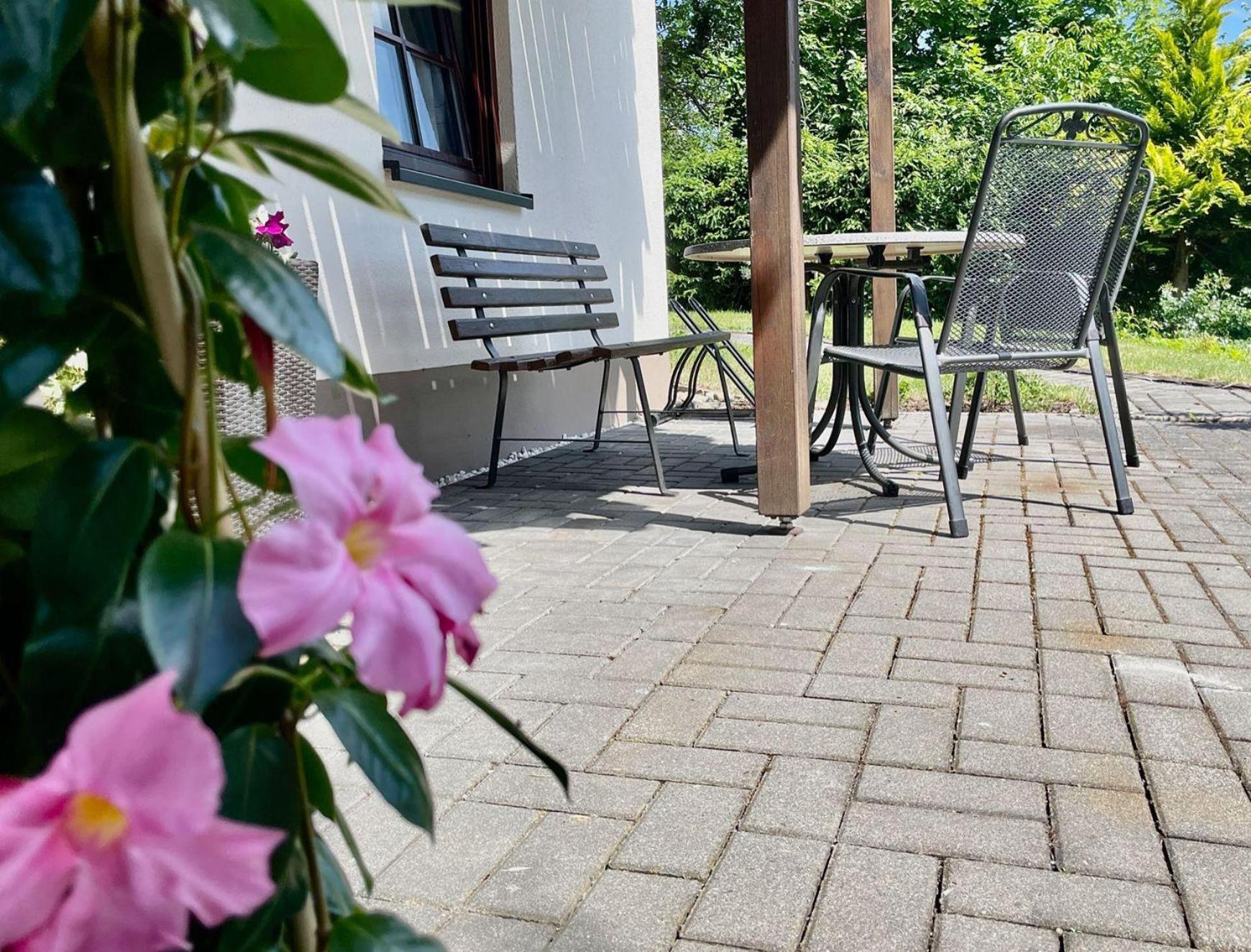 Ferienwohnung-Am-Suedhang Muglitztal Екстериор снимка