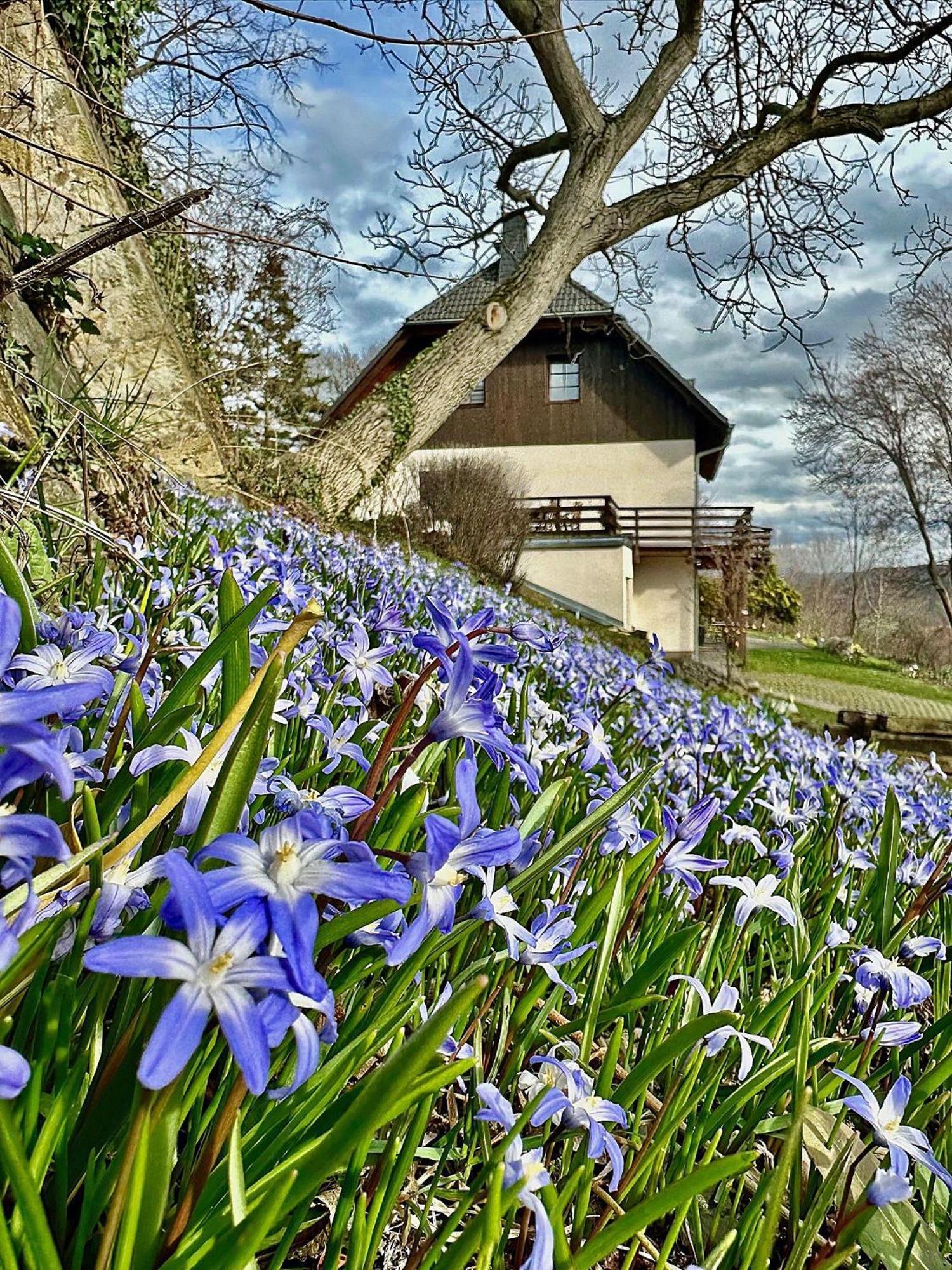 Ferienwohnung-Am-Suedhang Muglitztal Екстериор снимка
